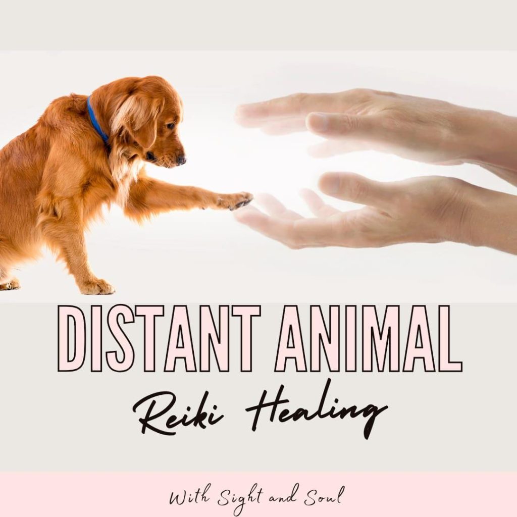 Distant Animal Reiki Healing