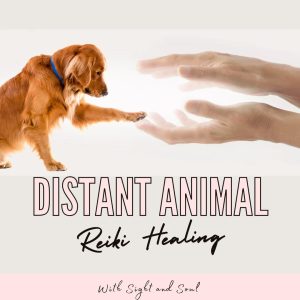 Distant Animal Reiki Healing